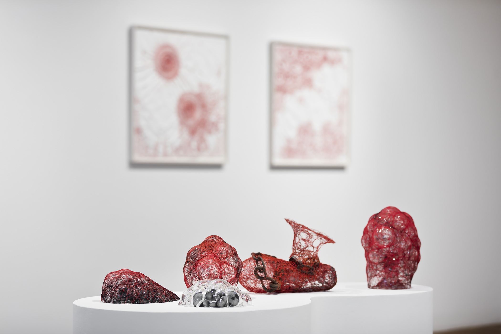 Chiharu Shiota
Werkgruppe: Cell, 2025
Mixed media
Gana Art Gallery, Seoul, South Korea
Photo courtesy of Gana Art, Seoul
© VG Bild-Kunst, Bonn, 2026 and Chiharu Shiota